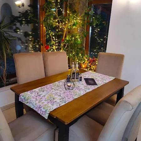 Guest house Iulia 3*