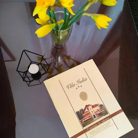Iulia Guest house Vatra Dornei