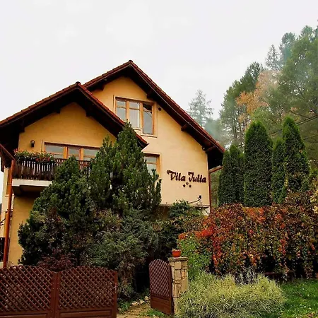 Guest house Iulia