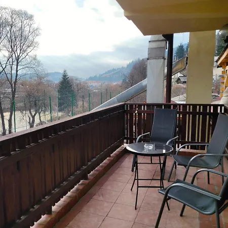 Guest house Iulia 3*